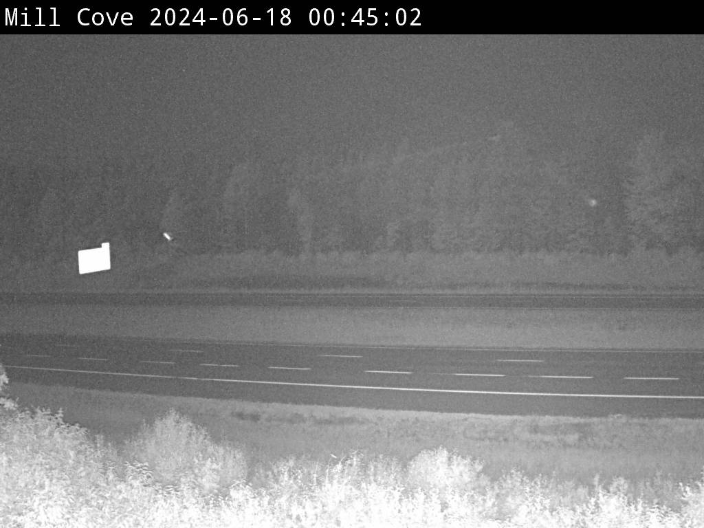 Web Cam image of Mill Cove (NB Highway 2)